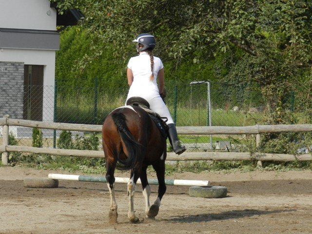 Babie Lato 2016